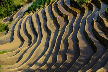 Duong cong ky ao cua ruong bac thang Tay Bac hinh anh