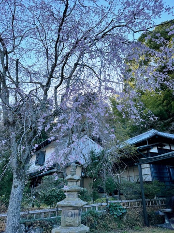 Kamakura anh 11