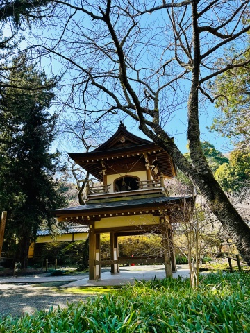 Kamakura anh 9