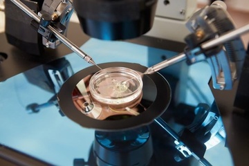 Sau khi lam IVF, nhieu phu nu co the thu thai tu nhien hinh anh