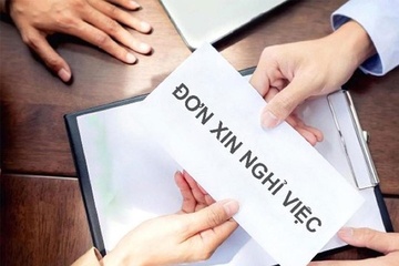 Hai vo chong la pho giam doc so o Dong Nai cung xin nghi viec hinh anh