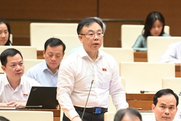 Dai bieu noi ky thi lop 10 la 'su kinh hoang' cua hang trieu hoc sinh hinh anh