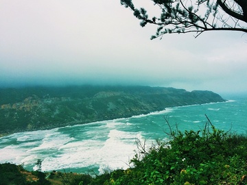 Phu Yen dep hon sau 'Toi thay hoa vang tren co xanh' hinh anh