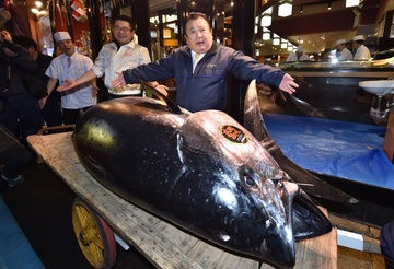 Ca ngu 300 kg dau gia ky luc 3,1 trieu USD o Nhat Ban hinh anh