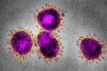 WHO: Bien chung Mu moi phat hien co nguy co khang vaccine hinh anh