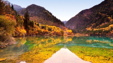 Cuu Trai Cau vao thu dep nhu thien duong hinh anh