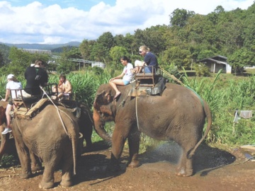 Phuot thu chia se trai nghiem du lich can tranh hinh anh