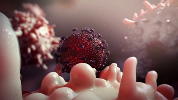 Phat hien thuoc ngan virus HIV sinh san trong te bao hinh anh