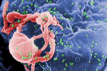 Ung thu, HIV co the phong bang vac xin trong thap ky toi hinh anh