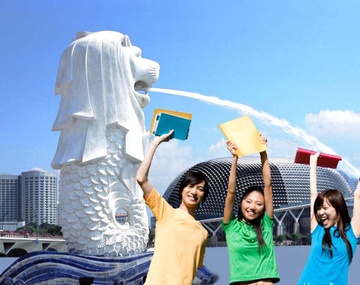 Cuoc song o Singapore khac Viet Nam the nao? hinh anh