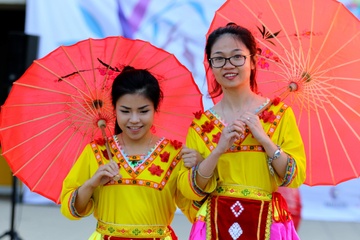 'Ve dep Viet Nam qua lang kinh van hoa' hinh anh