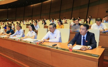 86,86% dai bieu Quoc hoi tan thanh thong qua Luat An ninh mang hinh anh
