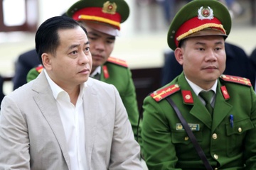 Phan Van Anh Vu: 'Bi cao tu nguyen toi don canh sat Singapore' hinh anh