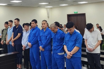 Tham tu tu moi gioi hoi lo de 'chay an' cho trum mua ban hoa don hinh anh