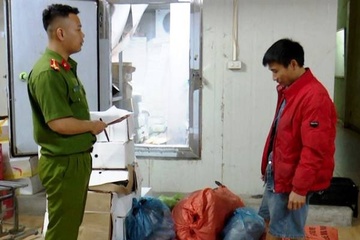 Dot kich kho lanh chua gan 6,5 tan thuc pham khong co hoa don hinh anh