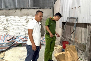 Đột kích xưởng sản xuất phân bón hoạt động 'chui'