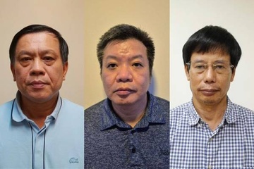 Khoi to, bat tam giam Thu truong Bo LD-TB&XH Nguyen Ba Hoan hinh anh