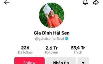 Chủ kênh TikTok 'Gia đình Hải Sen' bị bắt vì nghi buôn bán hàng giả