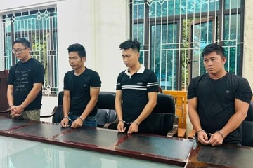 Vạch trần đường dây nhập lậu gần 100.000 cây Dó bầu