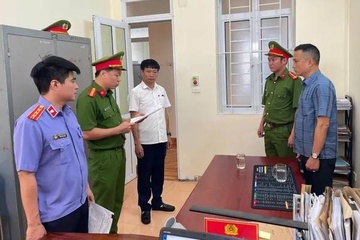 Mua ban hoa don khong hop thuc cat lau, thu loi bat chinh hon 5 ty hinh anh