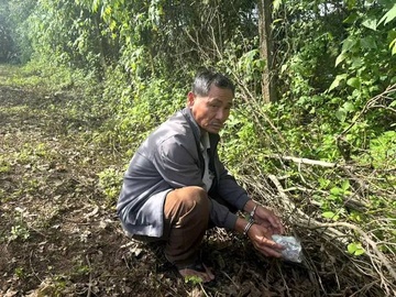 Doi tinh nhan nuoi gan 10 con cho du de thuan loi tau tan ma tuy hinh anh