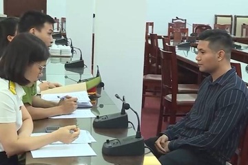 Khoi to giam doc Cong ty TNHH Mi Ha Noi vi tron thue hinh anh
