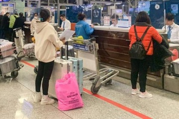 Lua tien nguoi xuat khau lao dong bang trung tam tieng Nhat trai phep hinh anh