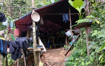 Phát hiện lán trại dựng giữa rừng để khai thác vàng trái phép