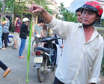 Dan Da Nang lien tuc bi ran luc can hinh anh