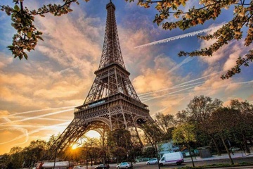 Khach Viet che tour chau Au om dom, it trai nghiem hinh anh