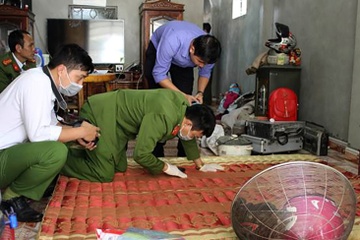 Nu nghi pham sat hai cu ba 79 tuoi de quyt no hinh anh