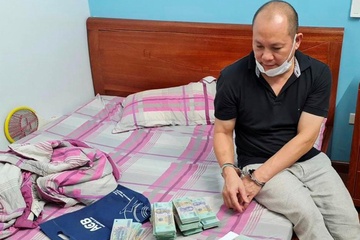 Hon 200 ngay dem theo vet, boc go duong day danh bac nghin ty hinh anh