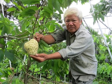 Lao nong voi vuon mang cau dai cho trai 'khong lo' hinh anh