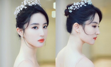 'Hoa Moc Lan' la co hoi cuoi cung cua Luu Diec Phi? hinh anh