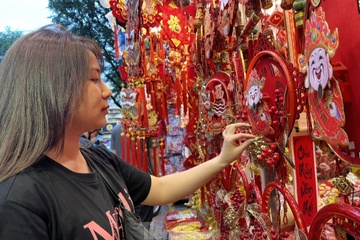 Sac do phu ngap pho do Tet lon nhat TP.HCM, tap nap nguoi mua sam hinh anh