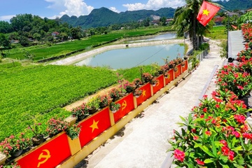 Con duong 40 m ruc mau co do o Nghe An gay sot hinh anh