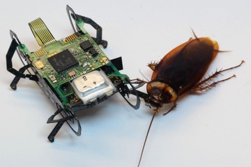 Gian dang ghet nhung 'robot gian' nay lai la tuong lai nganh cuu ho hinh anh
