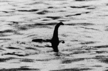 Quai vat ho Loch Ness quay tro lai? hinh anh