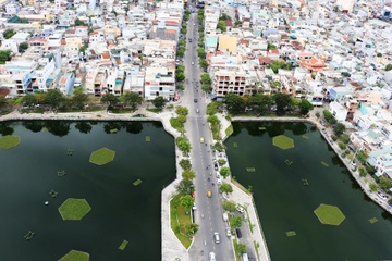 Nhech nhac quanh 'la phoi xanh' giua long Da Nang hinh anh