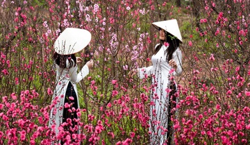 Thu tuong chot 7 ngay nghi Tet Nguyen dan Canh Ty 2020 hinh anh