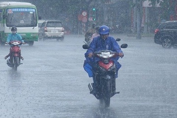Ha Noi mua lon cuoi tuan hinh anh
