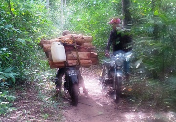Bi kiem lam truy bat, mot nguoi trung dan tu vong hinh anh