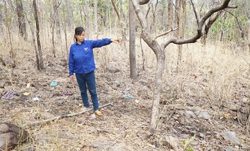 Vo cung nhan tinh giet chong roi dung hien truong gia hinh anh