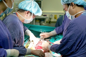 Ky luc ghep tang cho 15 nguoi trong mot tuan hinh anh