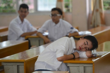 Si tu nhap cuoc mon thi dau hinh anh
