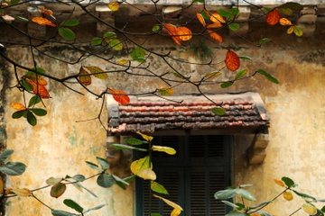 Nhung khoanh khac mua thu Ha Noi lay dong long nguoi hinh anh
