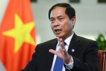 Tieu su tan Pho Thu tuong, Bo truong Ngoai giao Bui Thanh Son hinh anh