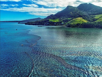 Dau tran tu tau Nhat Ban dang giet sinh vat bien quanh Mauritius hinh anh