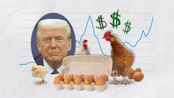 Ông Trump gần đúng về giá trứng ở Mỹ