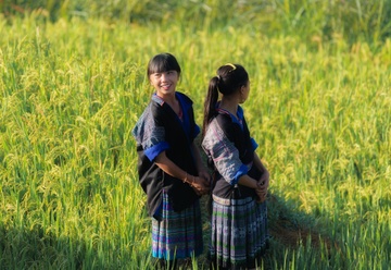 Mu Cang Chai vang ruc mua lua chin hinh anh